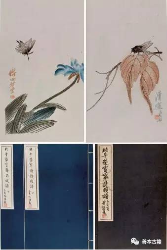 笺纸水墨,笺纸绢纸