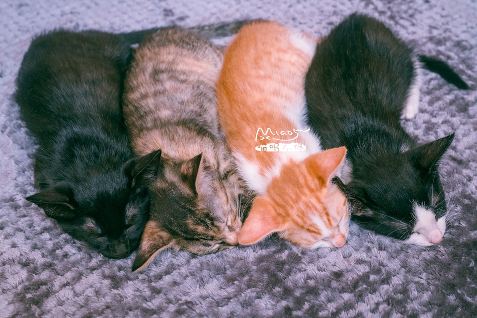 豆瓣日记10月,豆瓣日记