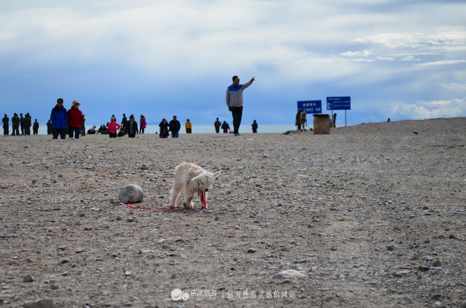 西藏圣湖之纳木错,西藏纳木错闪闪发光的世界