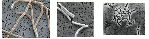 贵的好喝的酸奶,好贵的高档酸奶