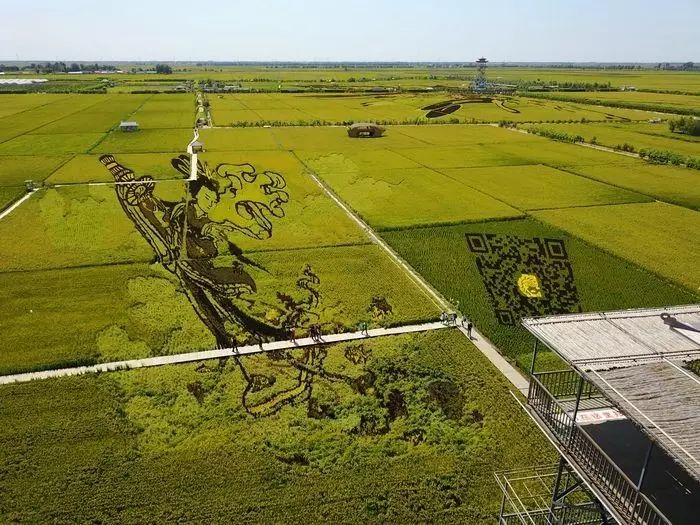 沈阳稻梦空间玉米,沈阳有稻梦空间吗