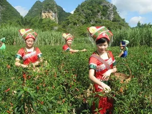 头条丨广西25个山清水秀的小城，风景不但美绝，还都是长寿之乡！