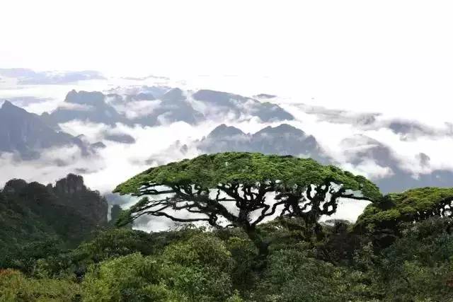 广西山清水秀风景视频,广西山清水秀的县