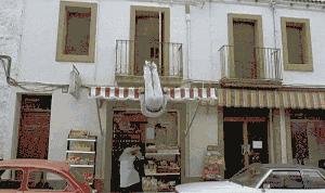 张家口新闻头条11月8日,张家口1台新闻回看