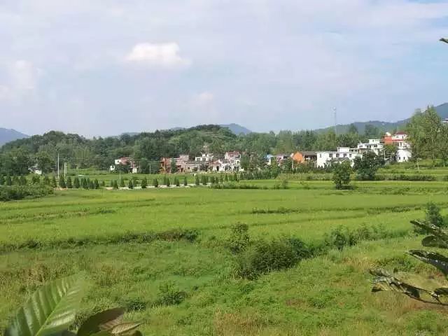 红色传奇诵读美篇,红色传奇诗