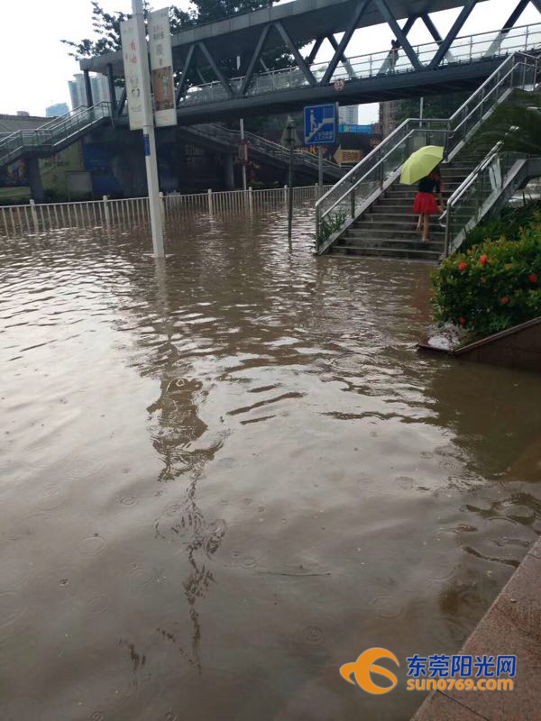 东莞市南城街道淹了没,东莞大雨哪几个镇不会被淹