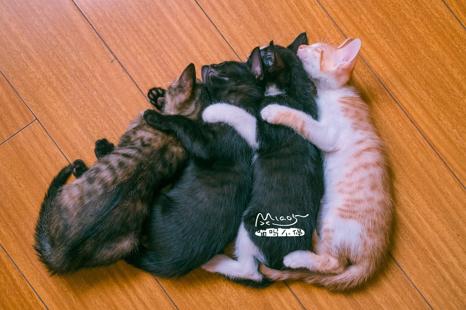 豆瓣日记10月,豆瓣日记