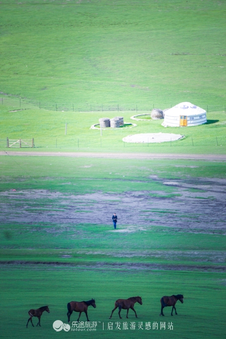 现代中国赤兔马,当代赤兔马