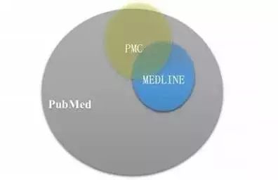 medline与pubmed,如何用pubmed精准搜索