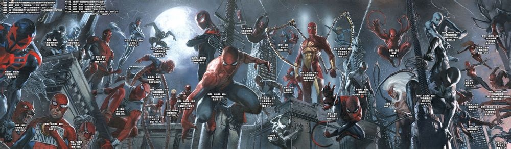 又萌又可爱的小蜘蛛你见过吗,盘点最可爱的小蜘蛛