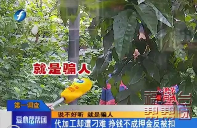 干活简单还有高薪？快醒醒！警惕“代加工”陷阱！