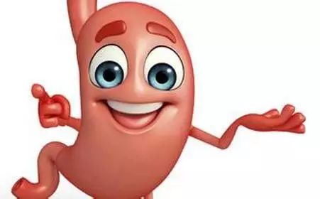 胃不好怎样吃才好,胃不好吃什么饭菜