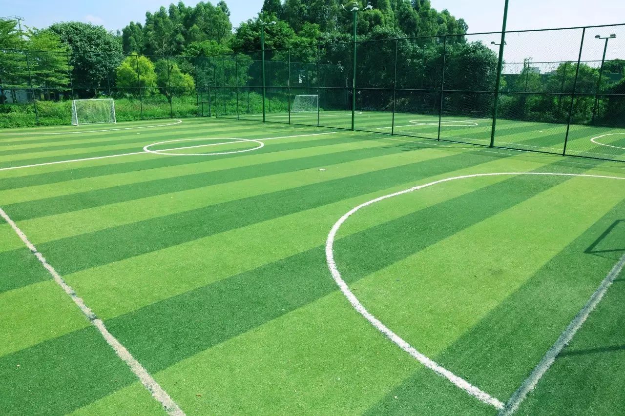 塘厦科苑东体育公园,塘厦体育公园