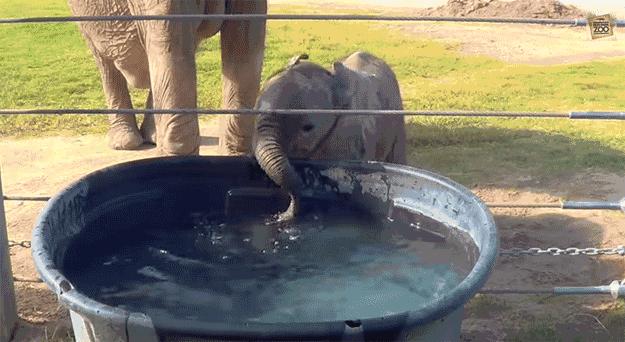 泡沫怎么会破灭可以软着陆吗,为什么泡沫遇火会消失