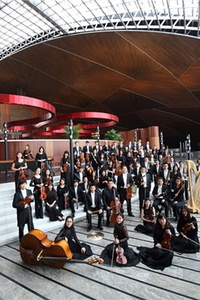 鍖椾含娓哥帺璞嗙摚,璞嗙摚娲诲姩鍖椾含