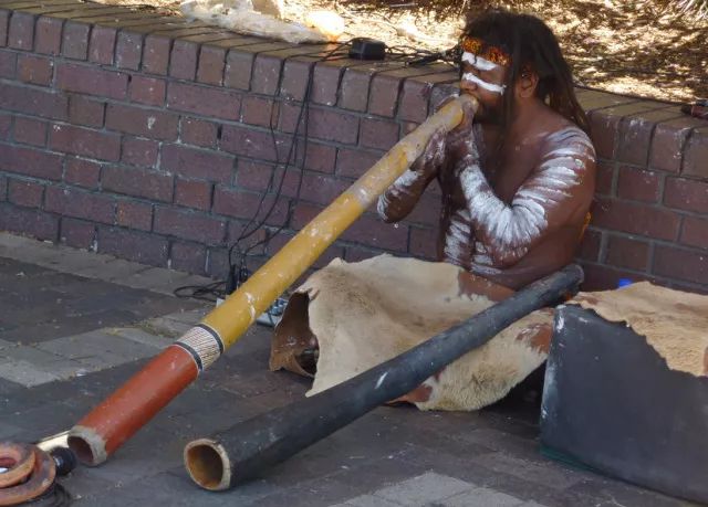 诺贝尔搞笑奖猫咪,搞笑诺贝尔奖猫咪