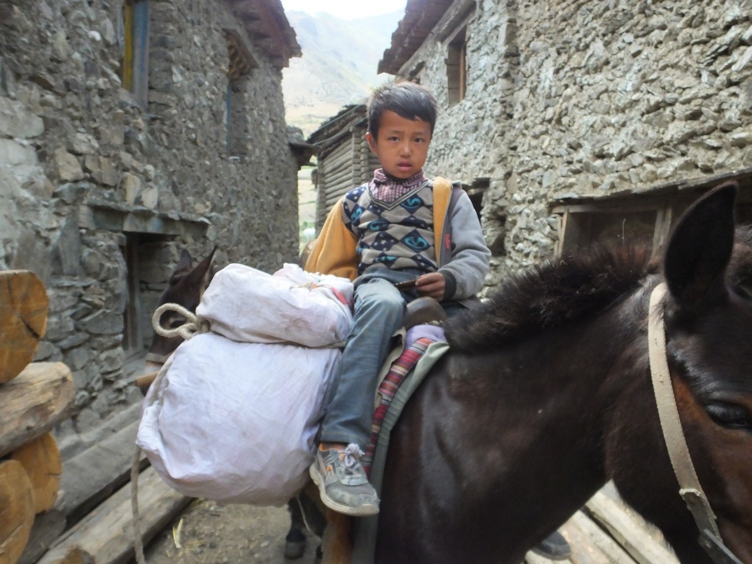 泸亚东线沿途风景,泸亚线穿越原始森林