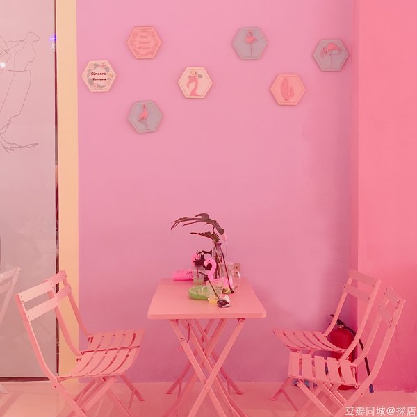 豆瓣出品：周末去哪儿·深圳丨这个朝代真正实现了靠脸可以混饭吃！