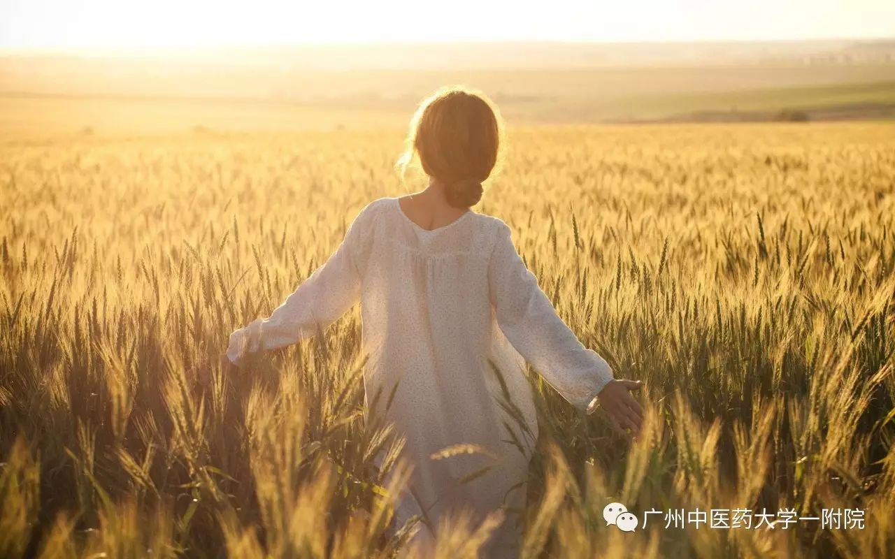 涓尰鐣呭惉,鐣呭惉璇剧▼