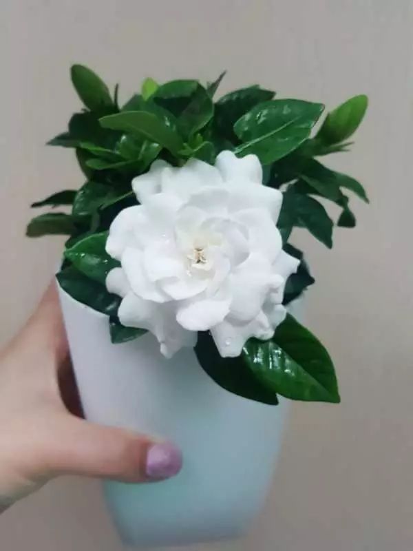 在淘宝买到什么好物,淘宝上为什么没有什么值得买