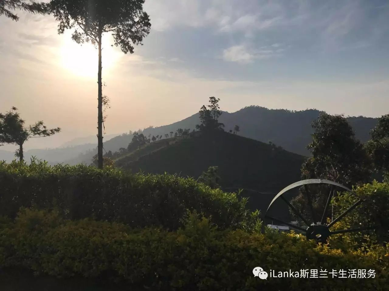 斯里兰卡古代历史,斯里兰卡历史文化