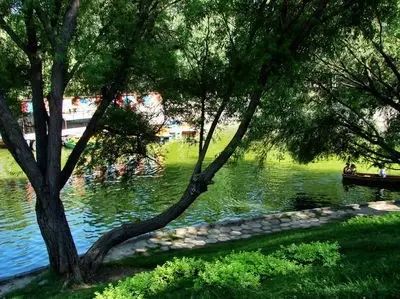 石河子秋季旅游攻略,石河子十一假期旅游推荐