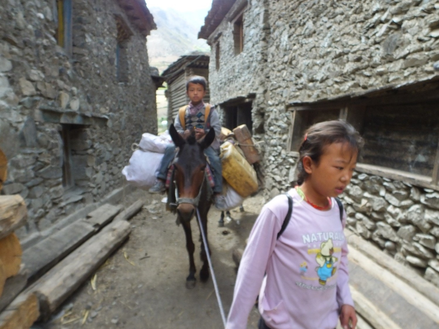 泸亚东线沿途风景,泸亚线穿越原始森林