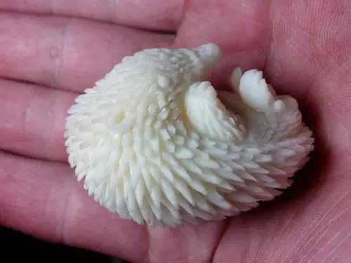 象牙果工艺品好吗,雕刻艺术果雕