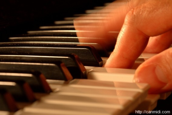 midi键盘配重选择,手感排名第一的midi键盘