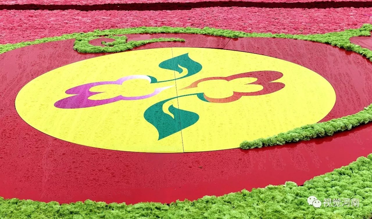 鄢陵2023花博会开幕式实况,河南许昌鄢陵花博会