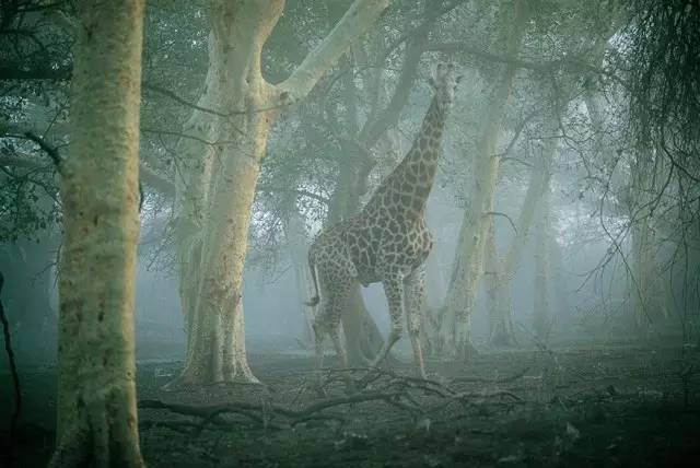 鍥藉鍦扮悊鏉傚織缇庡浘,鍥藉鍦扮悊鏉傚織楂樻竻澶у浘