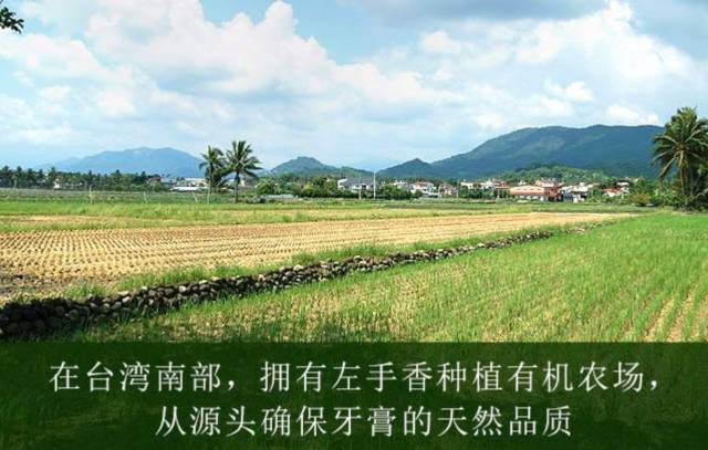 推荐一款超好用的牙膏,一款又好看又好用的牙膏