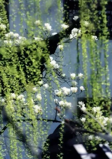 养生音乐56首免费下载,失传已久的56首养生曲视频