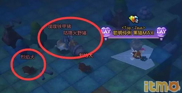 冒险岛2024必做任务,冒险岛2日版