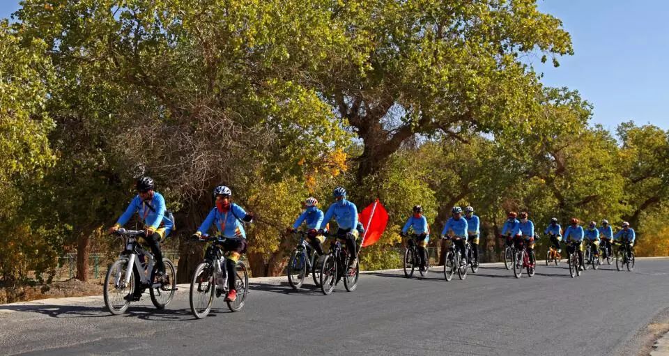 美丽的内蒙古额济纳胡杨林,恋上南山路美图