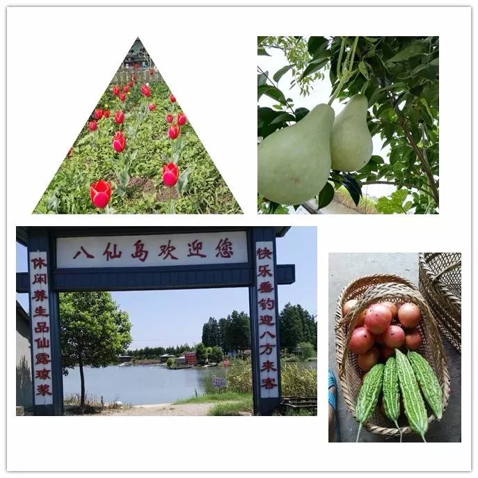 芜湖农家乐休闲度假,芜湖周边农家乐一日游推荐