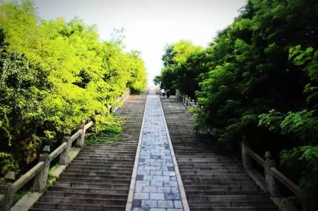 灞变笢鐪侀潚宀涘競鐞呯悐鍙伴鏅尯,鐞呯悐鍙伴鏅尯闈掑矝