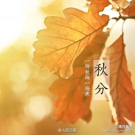 看看有关秋分的诗词,秋分的好文好诗