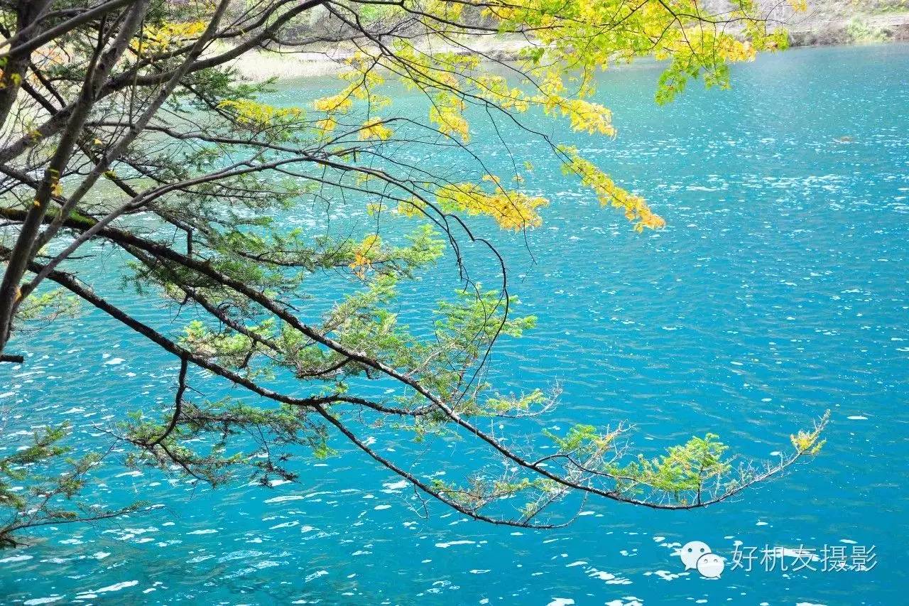 九寨沟黄龙峨眉山乐山自由行攻略,九寨沟旅游攻略及自由行景点介绍