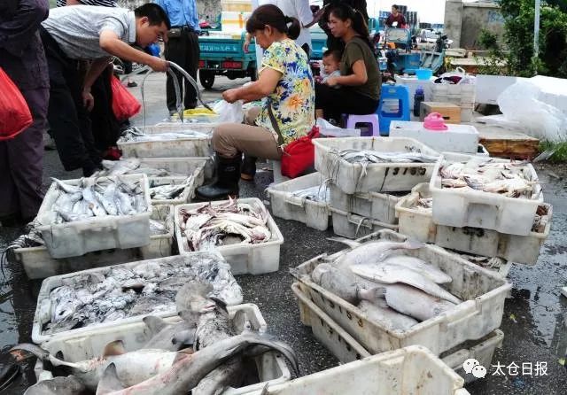 现在的浏河古镇,今天的浏河古镇