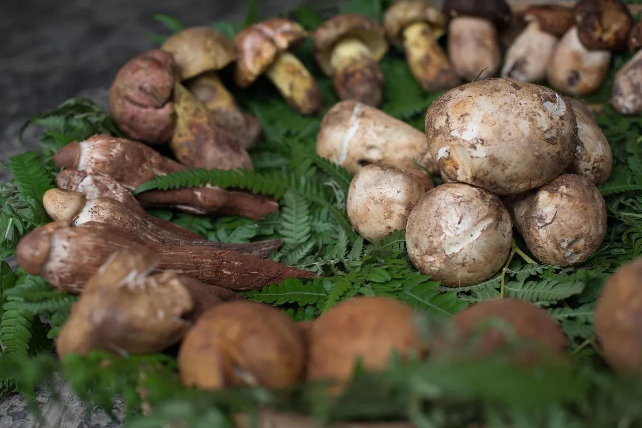 延边特产适合送人的食品,延边值得买的东西清单
