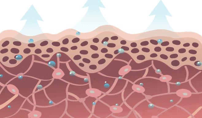 皮肤干燥长斑长痘用什么做面膜好,脸色暗沉有痘印如何护肤效果好