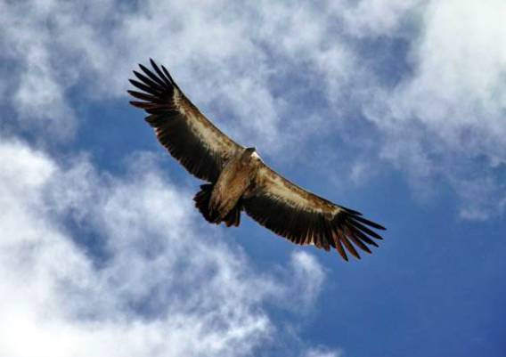 雪祭：闷罐车、新兵连、考军校，这滋味当过兵的人最懂