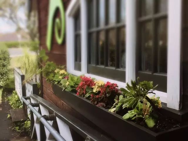 营养师妈妈带娃,营养师妈妈测评怎么写