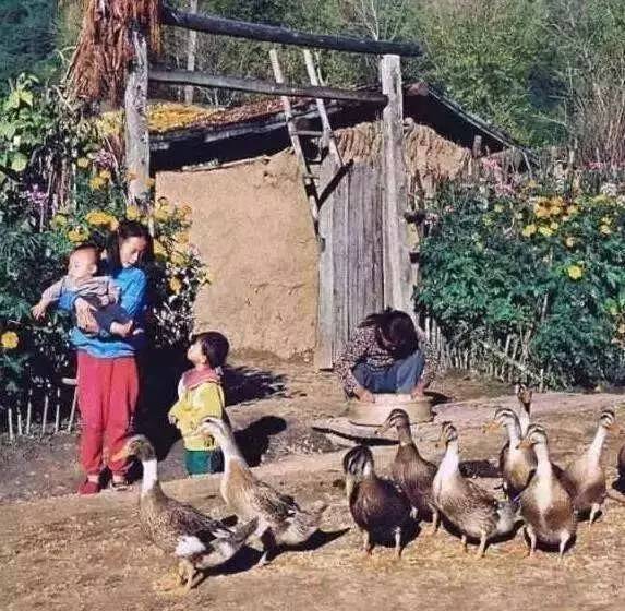 发财了！这东西以前常州家家有！扔了没人要，如今价值上万……