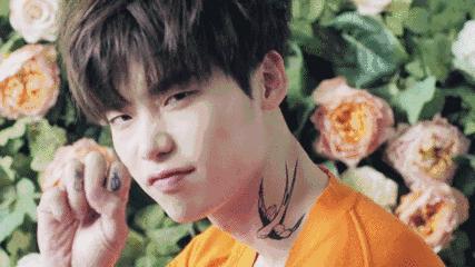 美人计｜都说美貌是吃出来的，可是你真的吃过这些吗？