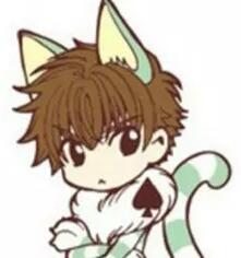 魔卡少女樱联名化妆品套盒,魔卡少女樱全部皮肤