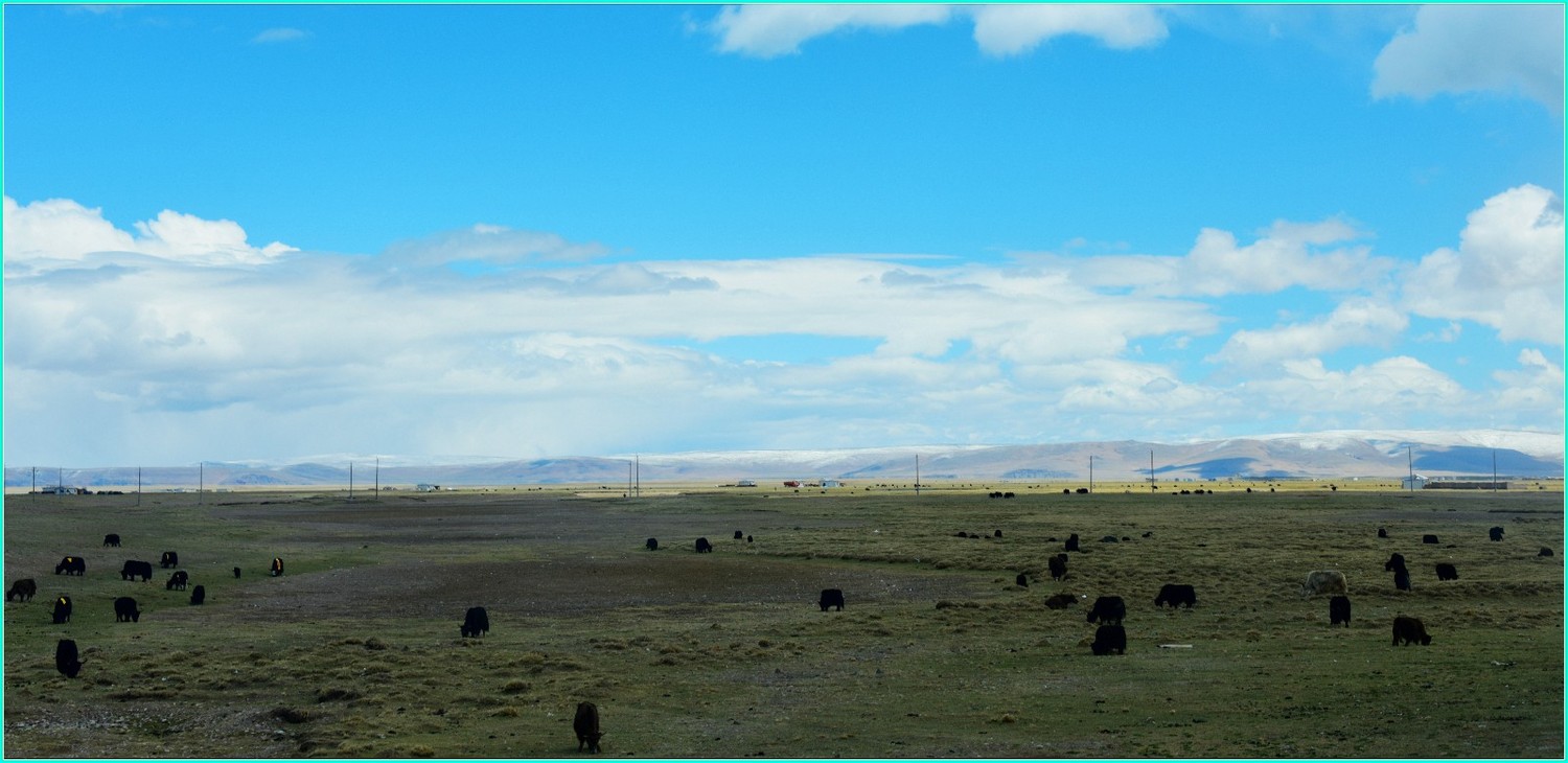 纳木错自然风景音乐,雪域高原天籁之音纳木错