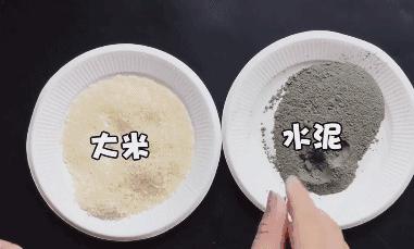 农村老鼠太多教你一招灭鼠的绝招,如何自制灭鼠最佳方法