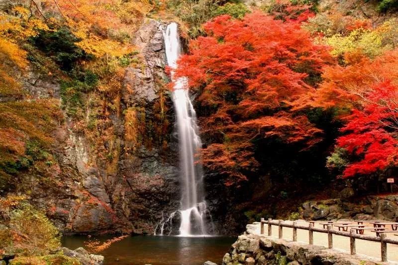 大阪箕面一日游,大阪箕面公园游玩